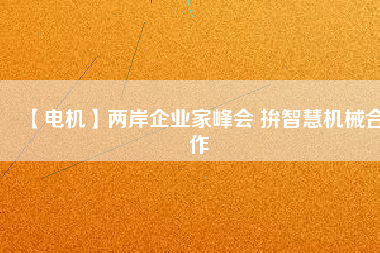 【電機(jī)】兩岸企業(yè)家峰會(huì) 拚智慧機(jī)械合作
          
