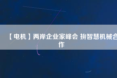 【電機(jī)】兩岸企業(yè)家峰會(huì) 拚智慧機(jī)械合作
          