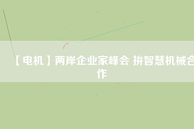 【電機(jī)】兩岸企業(yè)家峰會(huì) 拚智慧機(jī)械合作
          