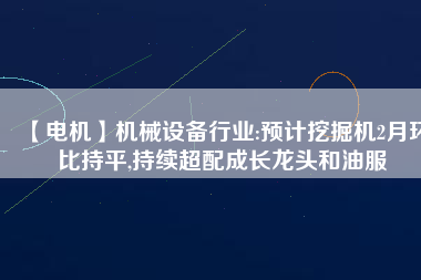 【電機(jī)】機(jī)械設(shè)備行業(yè):預(yù)計挖掘機(jī)2月環(huán)比持平,持續(xù)超配成長龍頭和油服
          