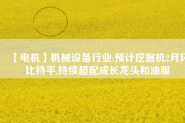 【電機(jī)】機(jī)械設(shè)備行業(yè):預(yù)計挖掘機(jī)2月環(huán)比持平,持續(xù)超配成長龍頭和油服
          