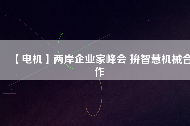 【電機(jī)】兩岸企業(yè)家峰會(huì) 拚智慧機(jī)械合作
          