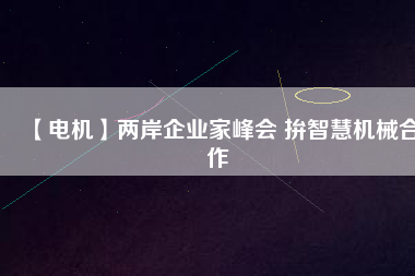 【電機(jī)】兩岸企業(yè)家峰會(huì) 拚智慧機(jī)械合作
          