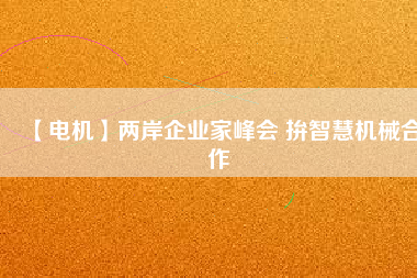 【電機(jī)】兩岸企業(yè)家峰會(huì) 拚智慧機(jī)械合作
          