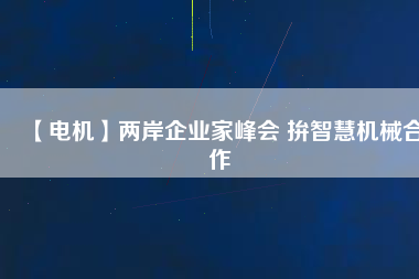 【電機(jī)】兩岸企業(yè)家峰會(huì) 拚智慧機(jī)械合作
          