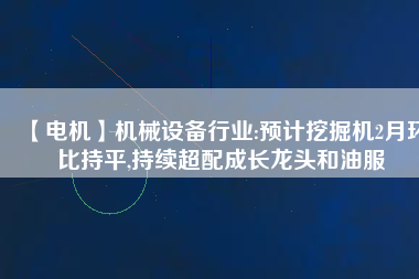 【電機(jī)】機(jī)械設(shè)備行業(yè):預(yù)計挖掘機(jī)2月環(huán)比持平,持續(xù)超配成長龍頭和油服
          