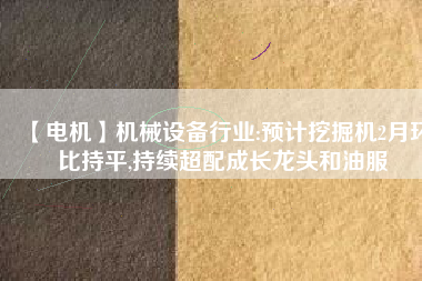 【電機(jī)】機(jī)械設(shè)備行業(yè):預(yù)計挖掘機(jī)2月環(huán)比持平,持續(xù)超配成長龍頭和油服
          