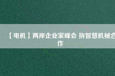 【電機(jī)】兩岸企業(yè)家峰會(huì) 拚智慧機(jī)械合作
          
