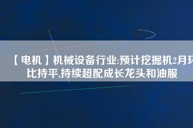 【電機(jī)】機(jī)械設(shè)備行業(yè):預(yù)計挖掘機(jī)2月環(huán)比持平,持續(xù)超配成長龍頭和油服
          
