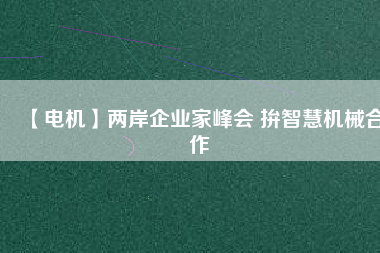 【電機(jī)】兩岸企業(yè)家峰會(huì) 拚智慧機(jī)械合作
          