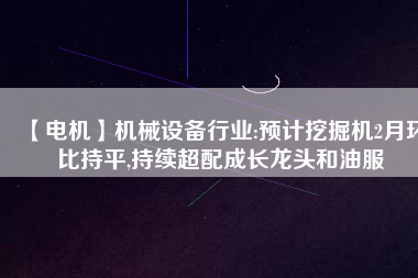 【電機(jī)】機(jī)械設(shè)備行業(yè):預(yù)計挖掘機(jī)2月環(huán)比持平,持續(xù)超配成長龍頭和油服
          