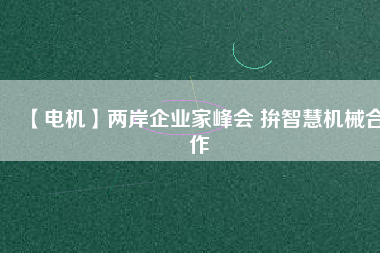 【電機(jī)】兩岸企業(yè)家峰會(huì) 拚智慧機(jī)械合作
          