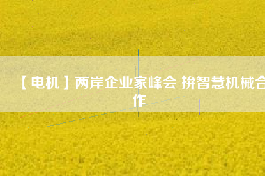 【電機(jī)】兩岸企業(yè)家峰會(huì) 拚智慧機(jī)械合作
          