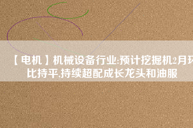 【電機(jī)】機(jī)械設(shè)備行業(yè):預(yù)計挖掘機(jī)2月環(huán)比持平,持續(xù)超配成長龍頭和油服
          