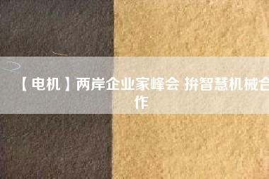 【電機(jī)】兩岸企業(yè)家峰會(huì) 拚智慧機(jī)械合作
          