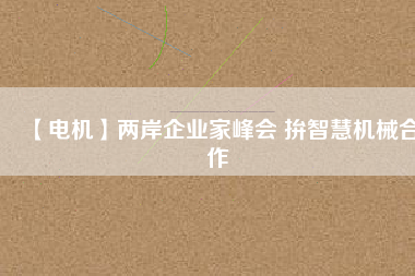 【電機(jī)】兩岸企業(yè)家峰會(huì) 拚智慧機(jī)械合作
          