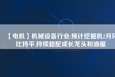 【電機(jī)】機(jī)械設(shè)備行業(yè):預(yù)計挖掘機(jī)2月環(huán)比持平,持續(xù)超配成長龍頭和油服
          