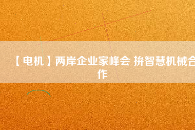 【電機(jī)】兩岸企業(yè)家峰會(huì) 拚智慧機(jī)械合作
          