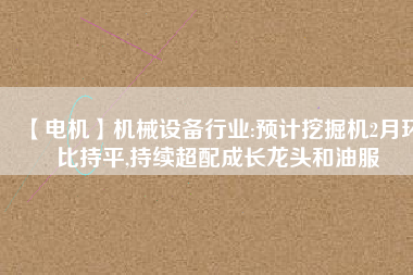 【電機(jī)】機(jī)械設(shè)備行業(yè):預(yù)計挖掘機(jī)2月環(huán)比持平,持續(xù)超配成長龍頭和油服
          
