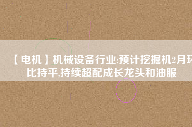 【電機(jī)】機(jī)械設(shè)備行業(yè):預(yù)計挖掘機(jī)2月環(huán)比持平,持續(xù)超配成長龍頭和油服
          