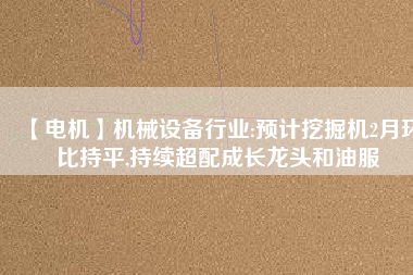 【電機(jī)】機(jī)械設(shè)備行業(yè):預(yù)計挖掘機(jī)2月環(huán)比持平,持續(xù)超配成長龍頭和油服
          