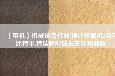 【電機(jī)】機(jī)械設(shè)備行業(yè):預(yù)計挖掘機(jī)2月環(huán)比持平,持續(xù)超配成長龍頭和油服
          