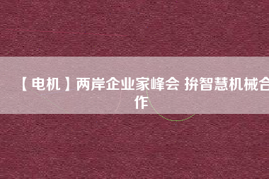 【電機(jī)】兩岸企業(yè)家峰會(huì) 拚智慧機(jī)械合作
          