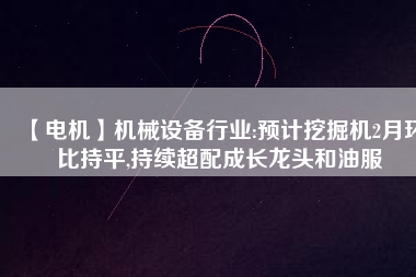 【電機(jī)】機(jī)械設(shè)備行業(yè):預(yù)計挖掘機(jī)2月環(huán)比持平,持續(xù)超配成長龍頭和油服
          
