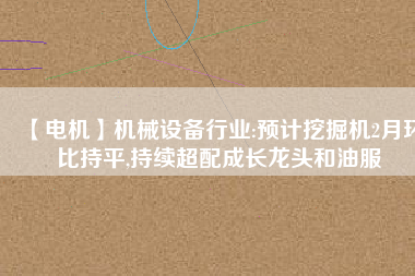 【電機(jī)】機(jī)械設(shè)備行業(yè):預(yù)計挖掘機(jī)2月環(huán)比持平,持續(xù)超配成長龍頭和油服
          