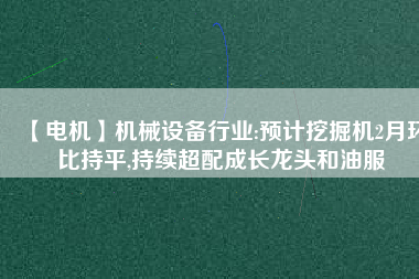 【電機(jī)】機(jī)械設(shè)備行業(yè):預(yù)計挖掘機(jī)2月環(huán)比持平,持續(xù)超配成長龍頭和油服
          