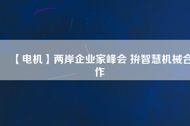 【電機(jī)】兩岸企業(yè)家峰會(huì) 拚智慧機(jī)械合作
          