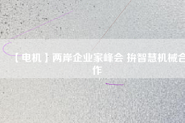 【電機(jī)】兩岸企業(yè)家峰會(huì) 拚智慧機(jī)械合作
          