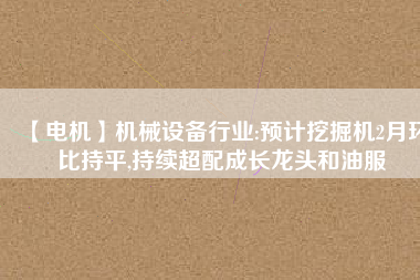 【電機(jī)】機(jī)械設(shè)備行業(yè):預(yù)計挖掘機(jī)2月環(huán)比持平,持續(xù)超配成長龍頭和油服
          
