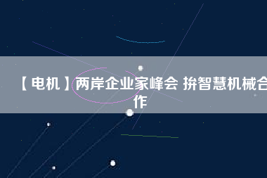 【電機(jī)】兩岸企業(yè)家峰會(huì) 拚智慧機(jī)械合作
          