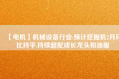 【電機(jī)】機(jī)械設(shè)備行業(yè):預(yù)計挖掘機(jī)2月環(huán)比持平,持續(xù)超配成長龍頭和油服
          