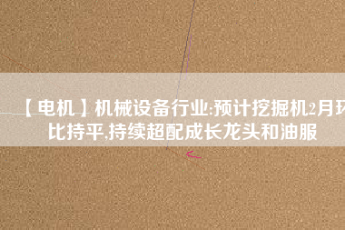 【電機(jī)】機(jī)械設(shè)備行業(yè):預(yù)計挖掘機(jī)2月環(huán)比持平,持續(xù)超配成長龍頭和油服
          