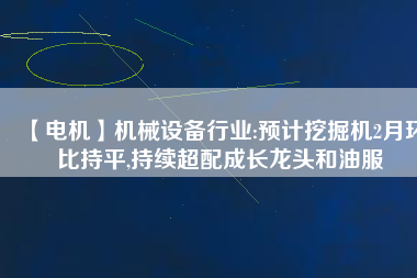 【電機(jī)】機(jī)械設(shè)備行業(yè):預(yù)計挖掘機(jī)2月環(huán)比持平,持續(xù)超配成長龍頭和油服
          