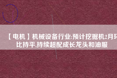 【電機(jī)】機(jī)械設(shè)備行業(yè):預(yù)計挖掘機(jī)2月環(huán)比持平,持續(xù)超配成長龍頭和油服
          