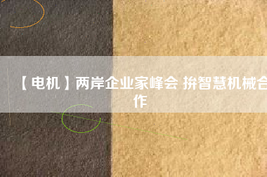 【電機(jī)】兩岸企業(yè)家峰會(huì) 拚智慧機(jī)械合作
          