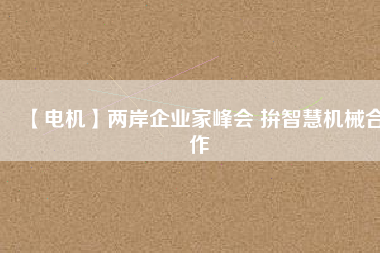 【電機(jī)】兩岸企業(yè)家峰會(huì) 拚智慧機(jī)械合作
          