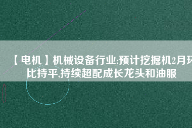 【電機(jī)】機(jī)械設(shè)備行業(yè):預(yù)計挖掘機(jī)2月環(huán)比持平,持續(xù)超配成長龍頭和油服
          