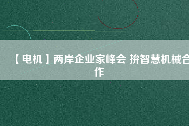 【電機(jī)】兩岸企業(yè)家峰會(huì) 拚智慧機(jī)械合作
          