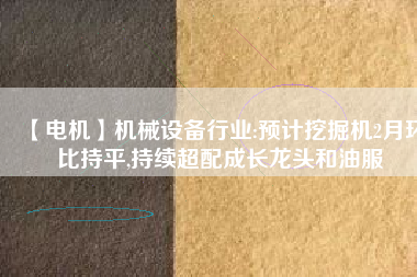 【電機(jī)】機(jī)械設(shè)備行業(yè):預(yù)計挖掘機(jī)2月環(huán)比持平,持續(xù)超配成長龍頭和油服
          